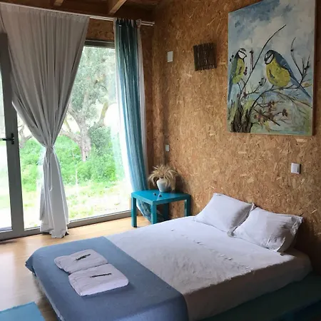 Biovilla Sustentabilidade Orman Evi