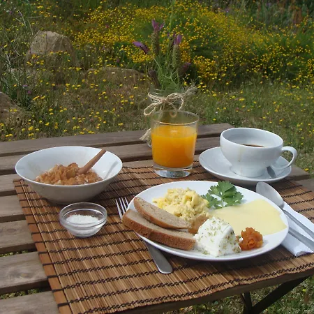 Biovilla Sustentabilidade אכסניה פלמלה