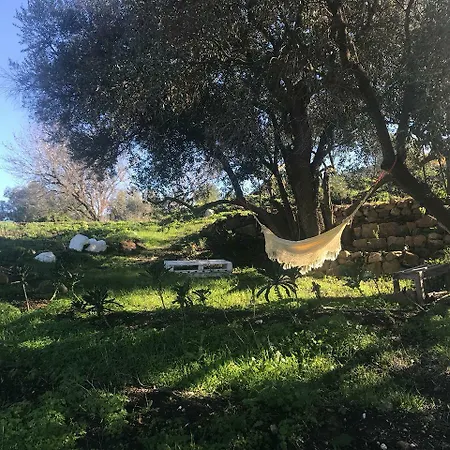 אכסניה Biovilla Sustentabilidade *