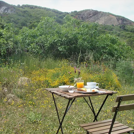 生物生态别墅 *