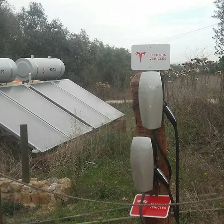 Biovilla Sustentabilidade Orman Evi Palmela