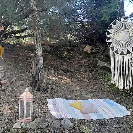 Biovilla Sustentabilidade *