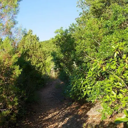 Деревянный коттедж Biovilla Sustentabilidade