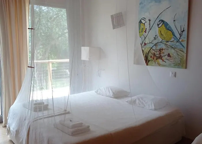 生物生态别墅 山林小屋 帕尔梅拉