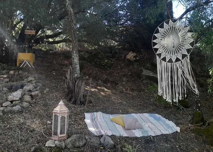 生物生态别墅 山林小屋