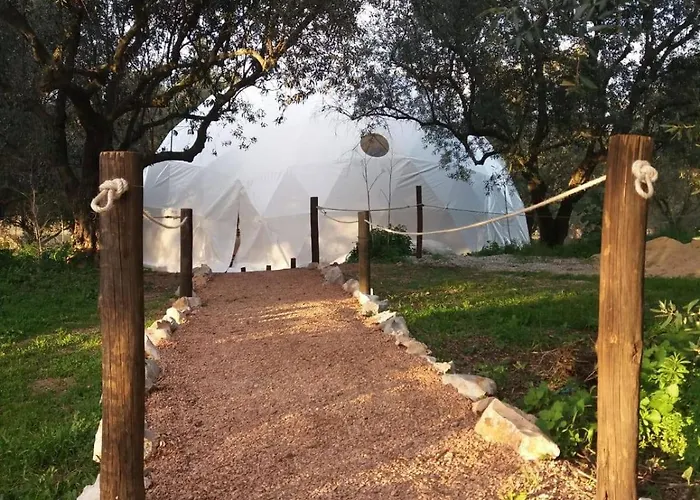 生物生态别墅 帕尔梅拉