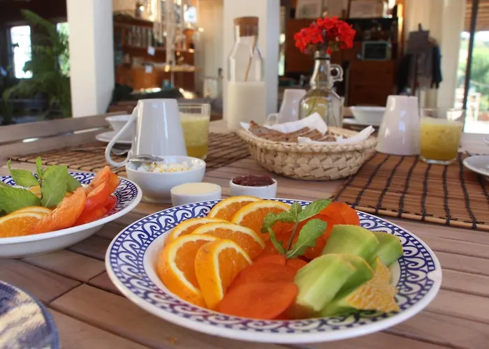 山林小屋 生物生态别墅