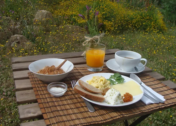 Biovilla Sustentabilidade Hytte Palmela