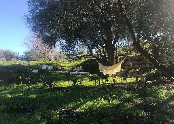 Hytte Biovilla Sustentabilidade *