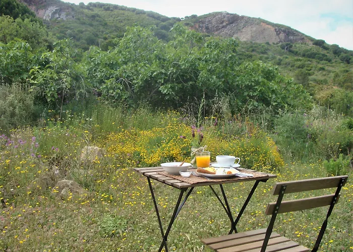 Biovilla Sustentabilidade *