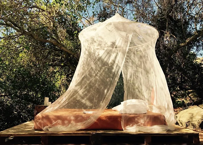 生物生态别墅 山林小屋 *