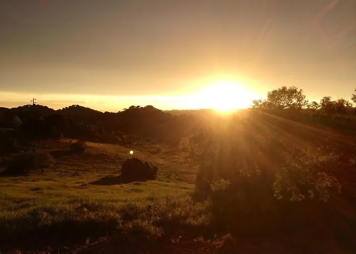 山林小屋 生物生态别墅