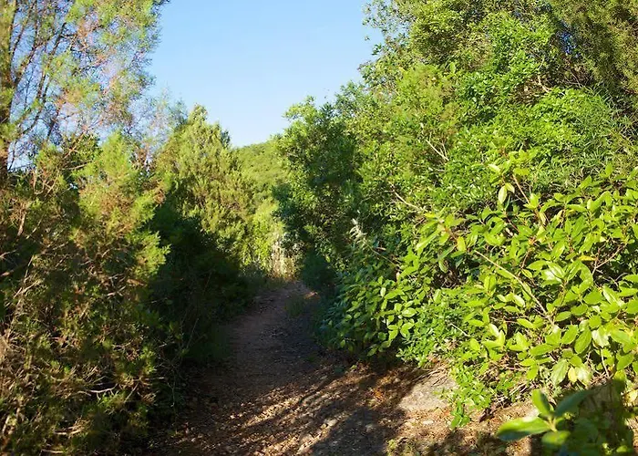 Hytte Biovilla Sustentabilidade